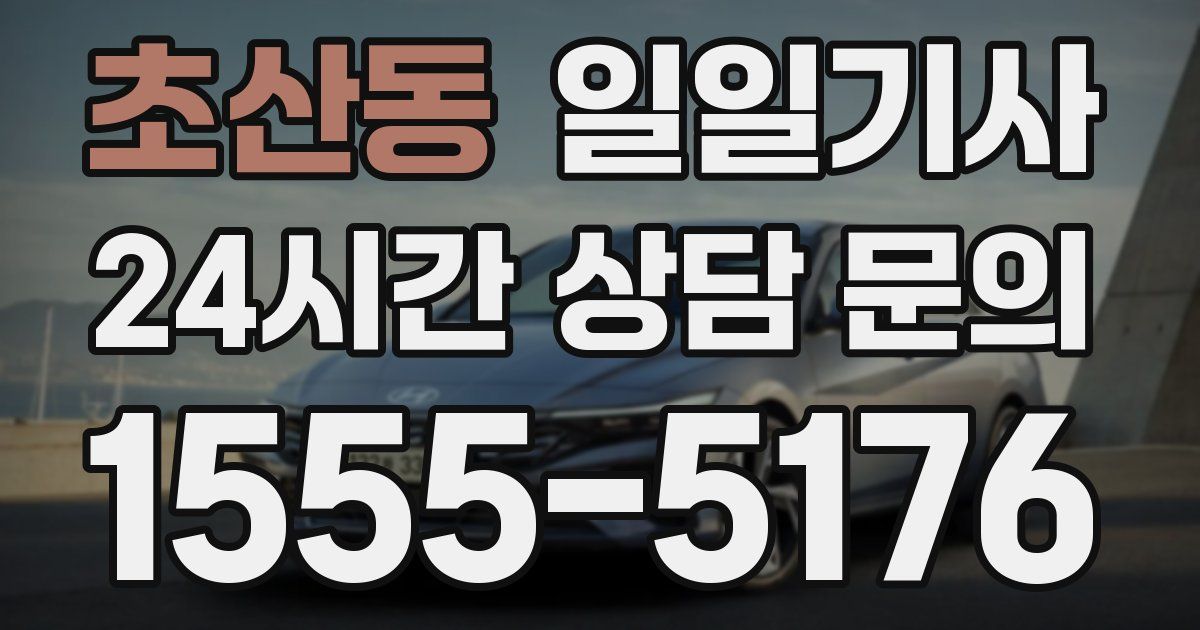 일일대리기사
