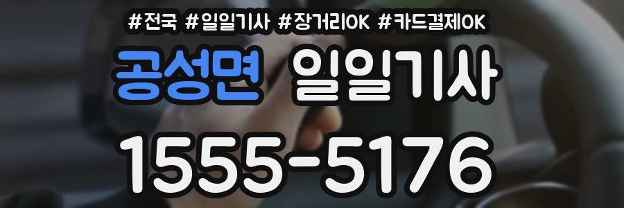 공성면 일일기사