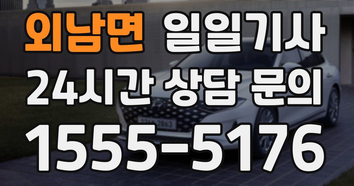 일일대리기사