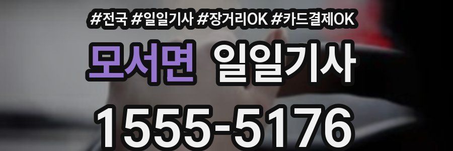 모서면 일일기사