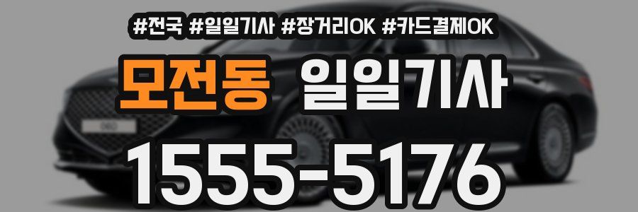 모전동 일일기사