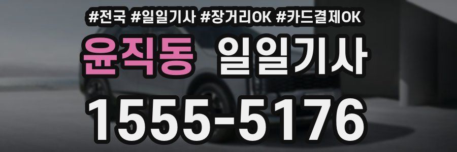 윤직동 일일기사