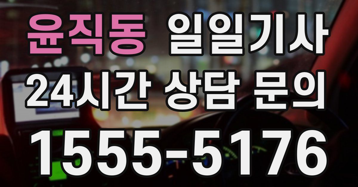 일일대리기사