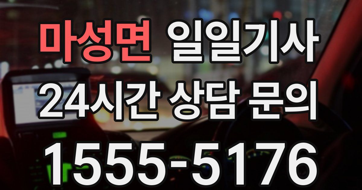 일일대리기사