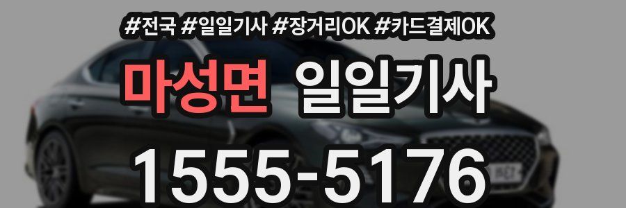 마성면 일일기사