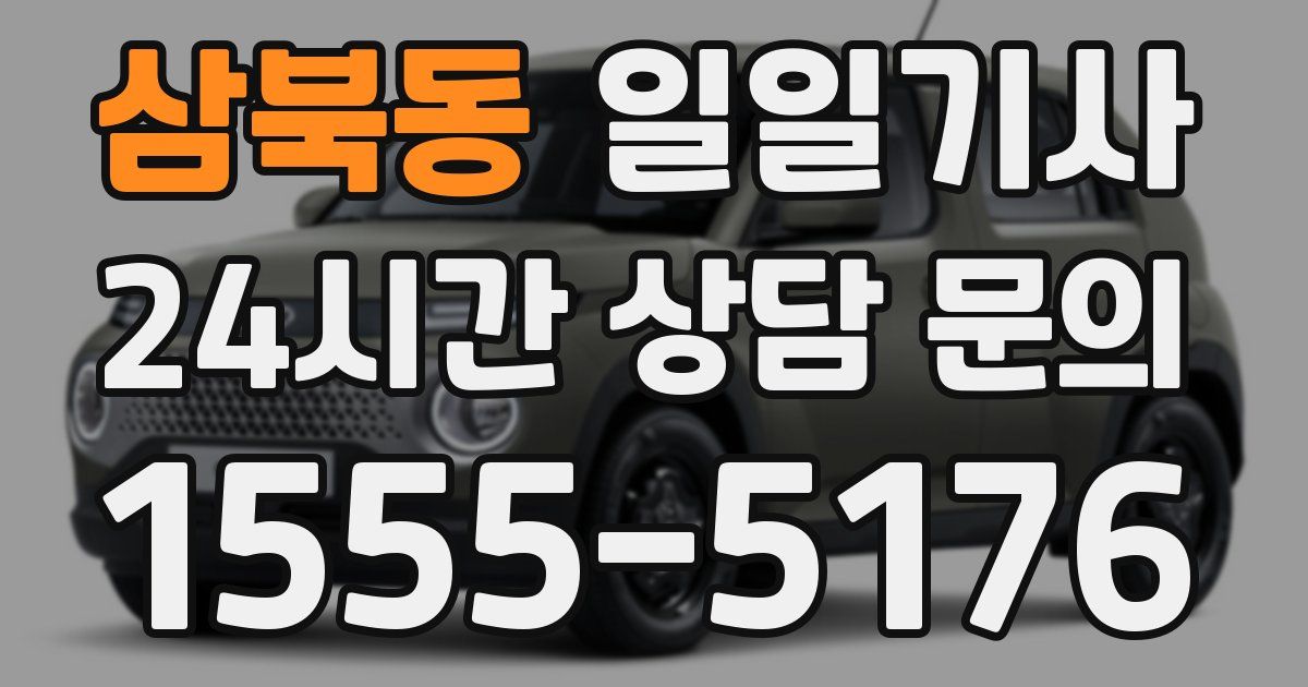 일일대리기사