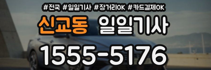신교동 일일기사