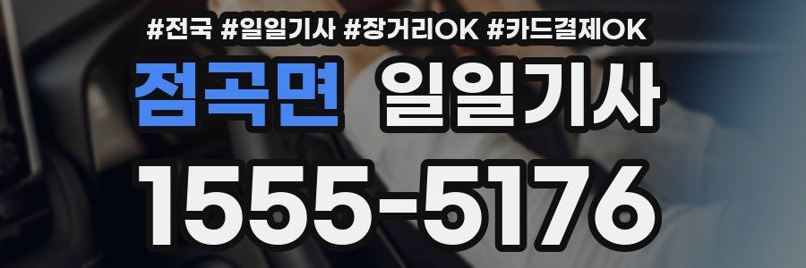 점곡면 일일기사