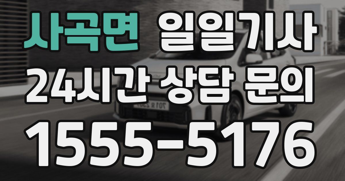 일일대리기사