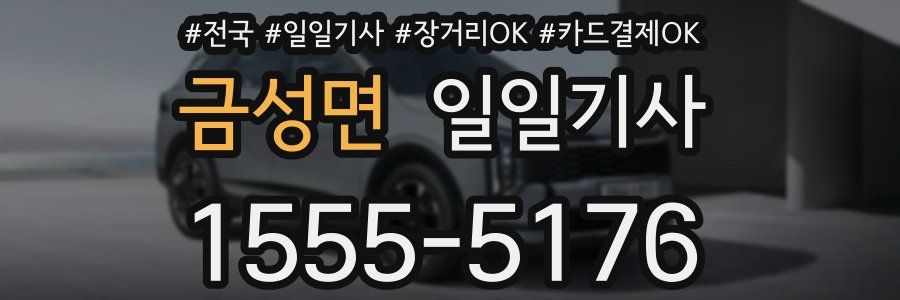 금성면 일일기사