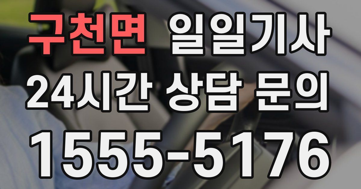 일일대리기사