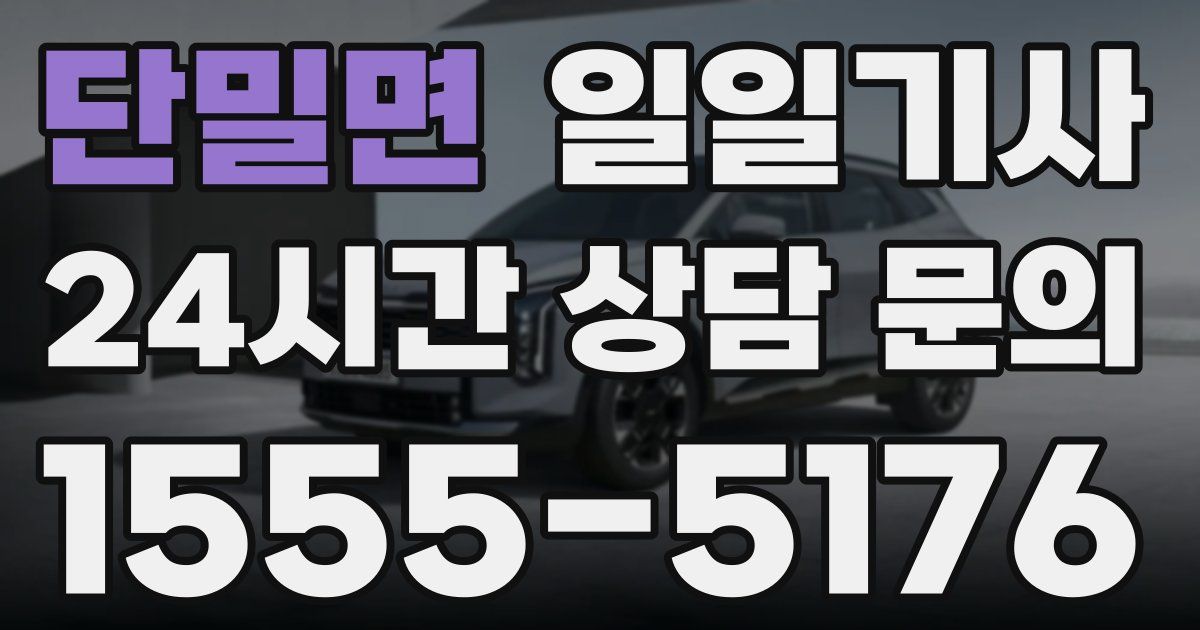 일일대리기사
