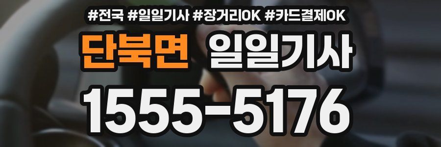 단북면 일일기사