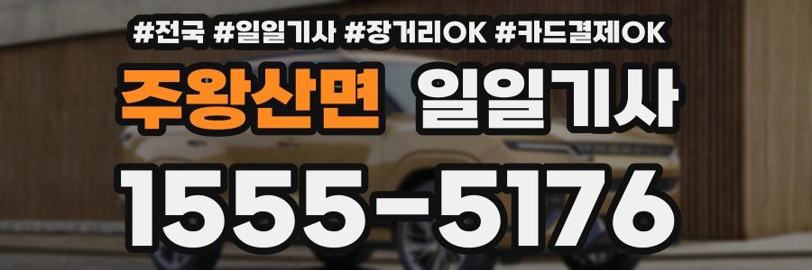 주왕산면 일일기사