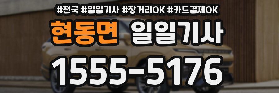현동면 일일기사
