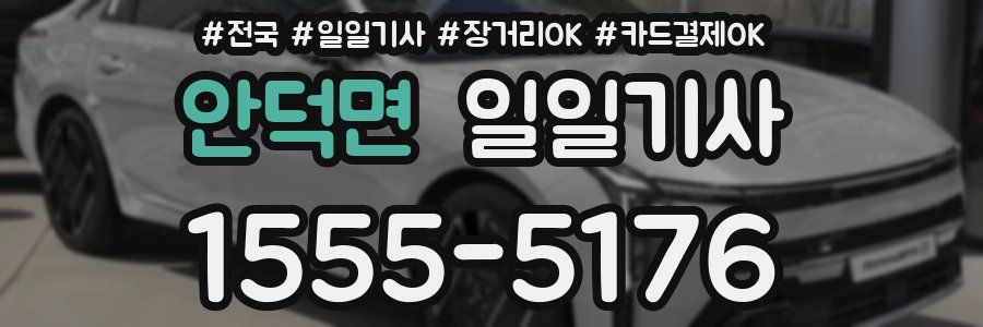 안덕면 일일기사