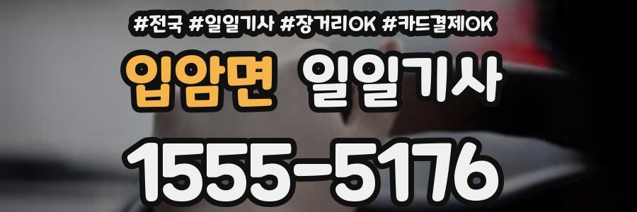 입암면 일일기사