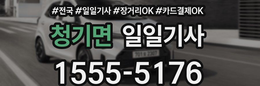 청기면 일일기사