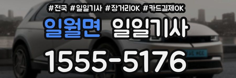 일월면 일일기사