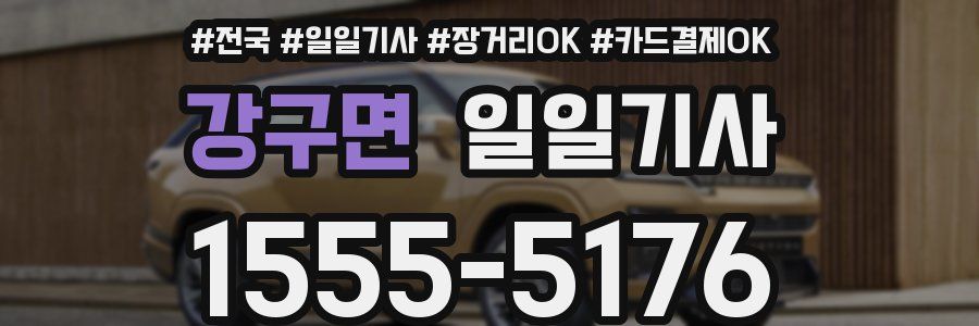 강구면 일일기사