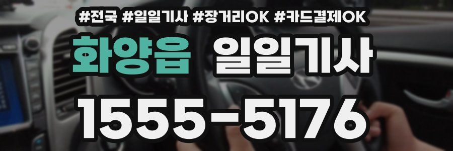 화양읍 일일기사