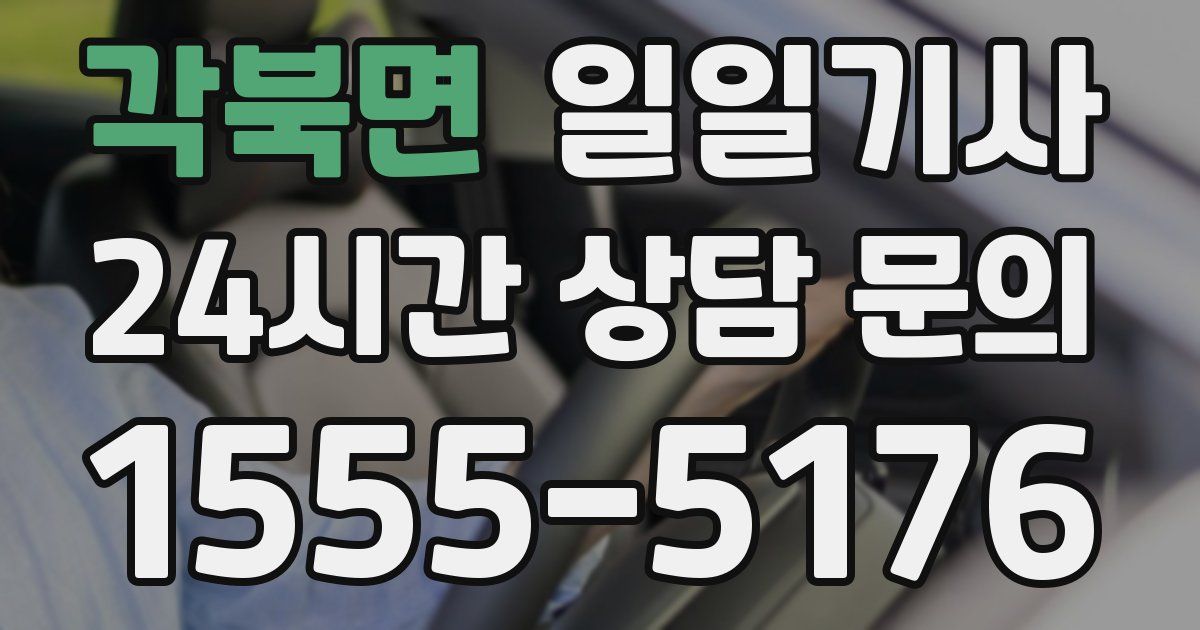 일일대리기사