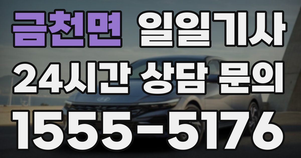 일일대리기사