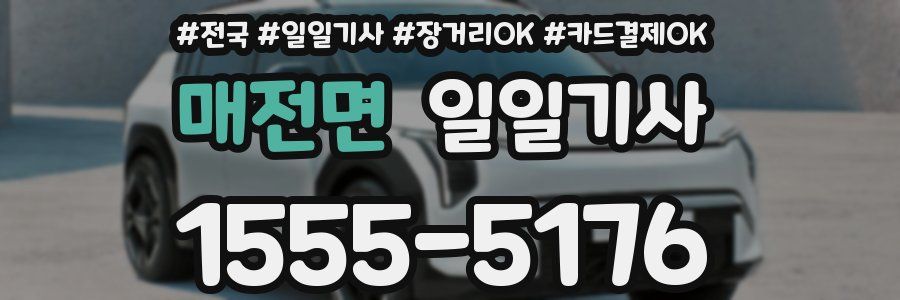 매전면 일일기사