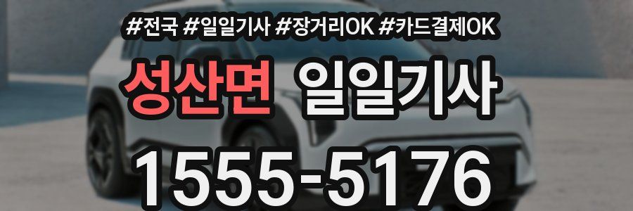 성산면 일일기사