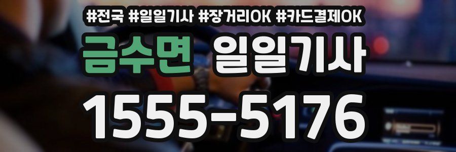 금수면 일일기사