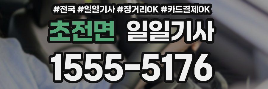 초전면 일일기사