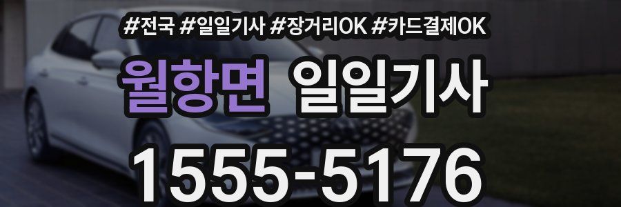 월항면 일일기사