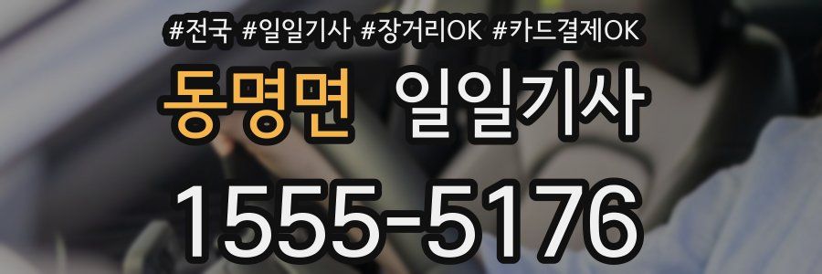 동명면 일일기사