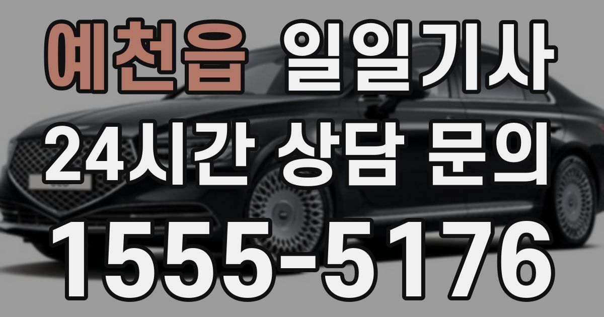일일대리기사