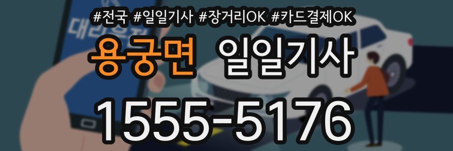 용궁면 일일기사