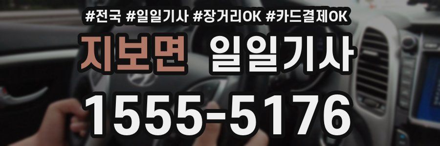 지보면 일일기사