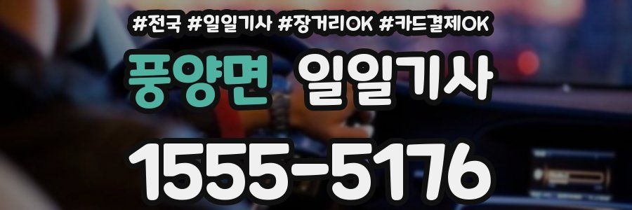 풍양면 일일기사