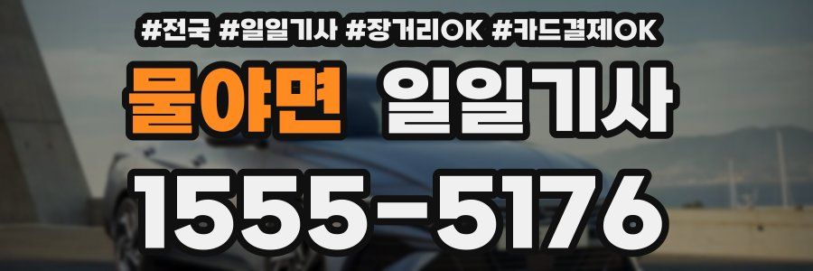 물야면 일일기사