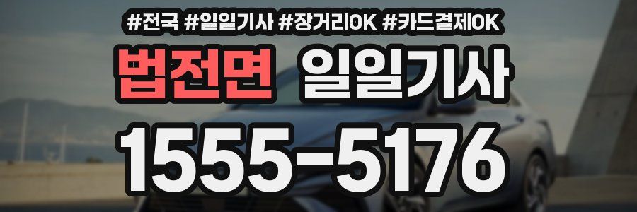 법전면 일일기사