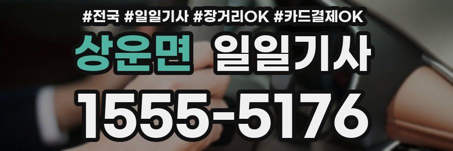 상운면 일일기사