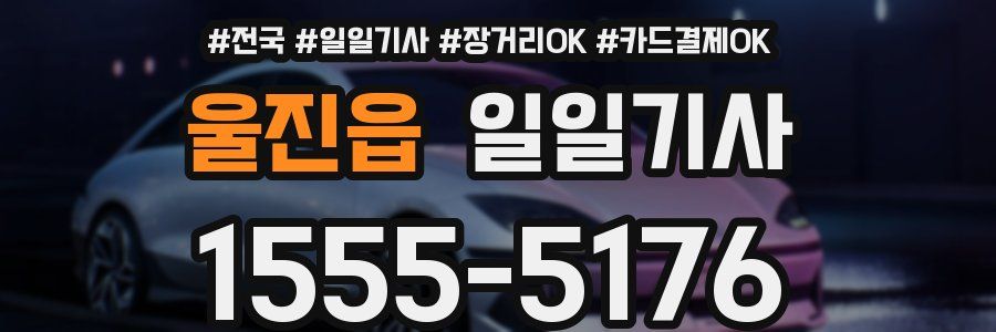 울진읍 일일기사