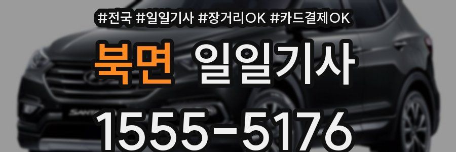 북면 일일기사