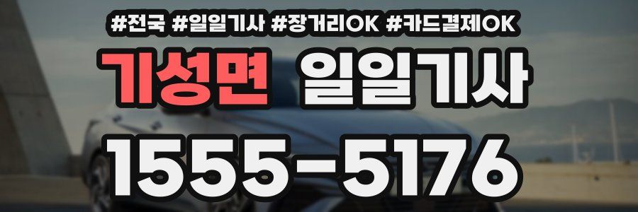 기성면 일일기사