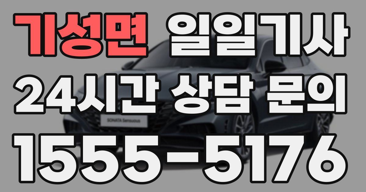 일일대리기사