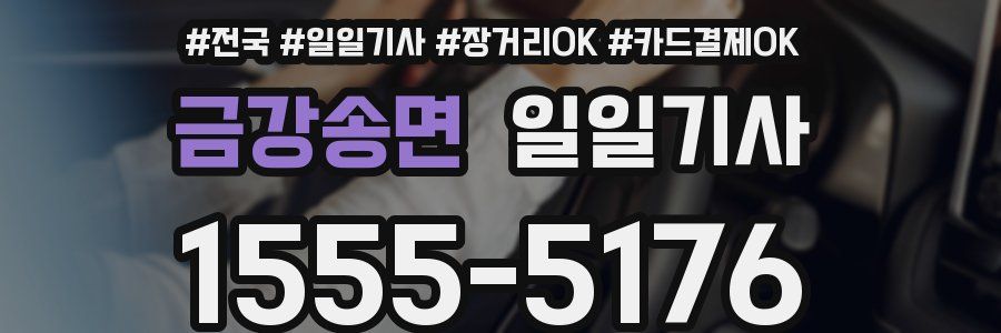 금강송면 일일기사