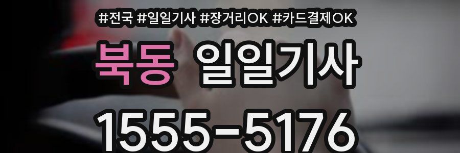 북동 일일기사