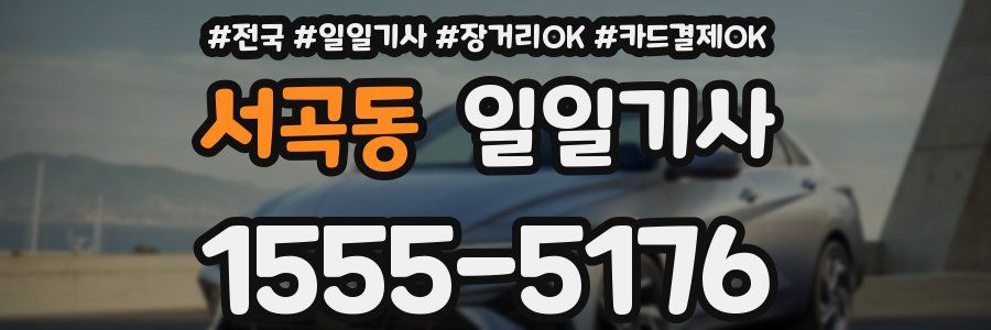 서곡동 일일기사