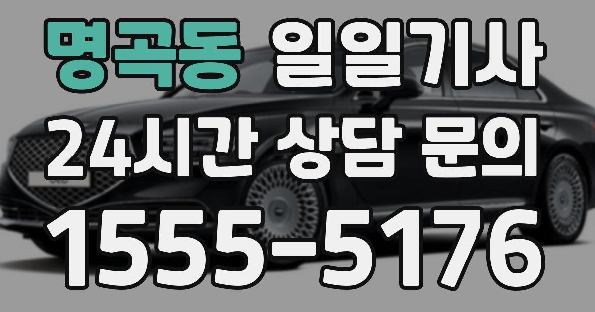 일일대리기사