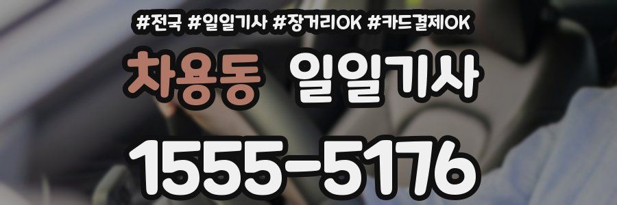 차용동 일일기사