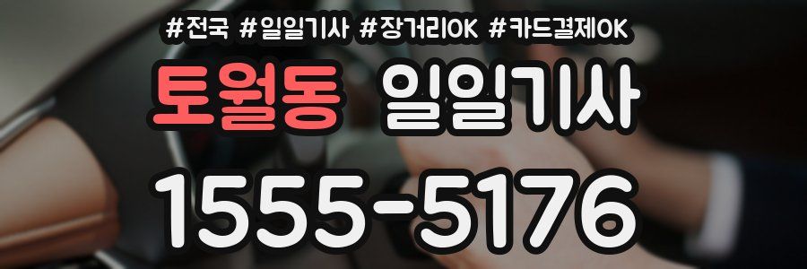 토월동 일일기사